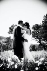 Customized Wedding Albums