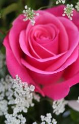 Denver Colorado Portrait Photography